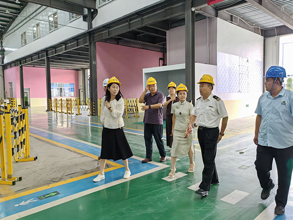 海關和貿(mào)促會領導蒞臨山東雪萊工廠參觀考察，泰安電視臺跟蹤采訪