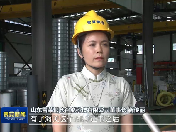 緊跟政策風向，把握跨海之帆-雪萊將以滿腔熱情讓世界愛上中國造